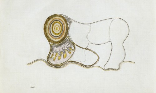 Fokus. Hans Fischli (1909&ndash;1989)