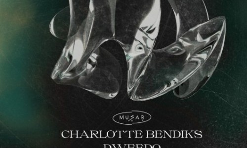 Musar Takeover, Charlotte Bendiks, Dweedo