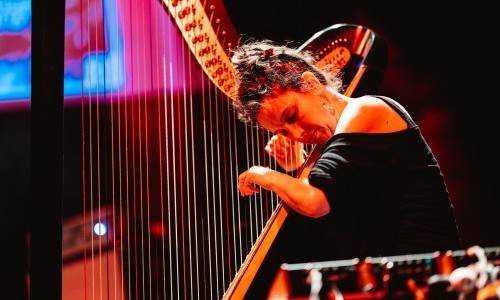 Julie Campiche &ndash; Harfe, FX