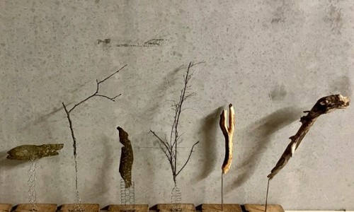 Naturgestalten: Vernissage