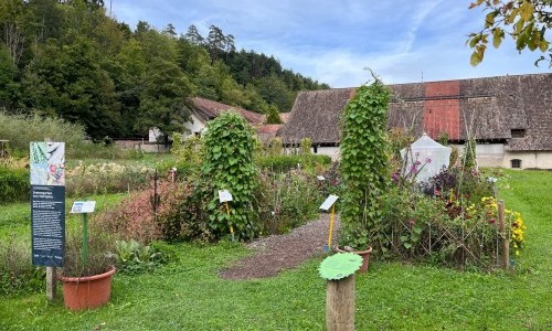 &Ouml;ffentliche F&uuml;hrung durch den Samengarten Hortiplus