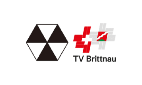 SG Handball Basel-Stadt 3 - TV Brittnau 3