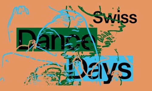 Swiss Dance Days: Diskussion &laquo;Starke Interessensgruppen f&uuml;r die Schweizer Tanz- und Kulturszene&raquo;