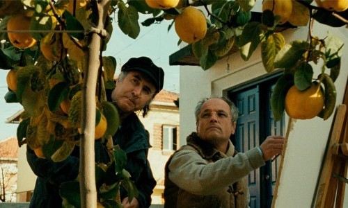 El sol del membrillo