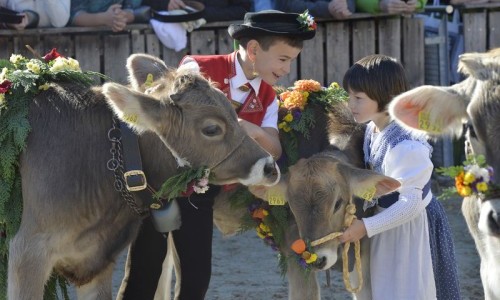 83. OLMA – Schweizer Messe für Landwirtschaft und Ernährung