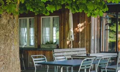 im Wald beim Scheitlinsbüchel, St. Gallen