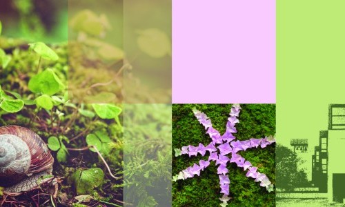 Schritte zum Frieden - Christliche Meditaiton