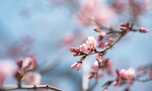 Nature Writing im G&auml;rtnerhuus &ndash; eine Schreibwerkstatt im Diaolog mit dem Schwarzpark