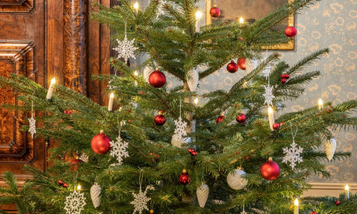 O Christmas Tree &ndash; Festive traditions and decorations through the ages