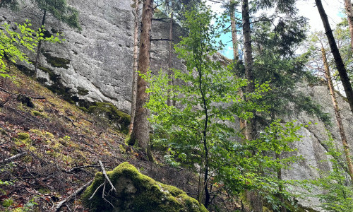 Unterwegs im Jura