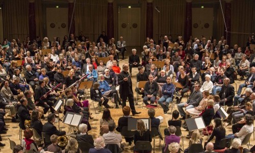 Summer-Festival: Mittendrin