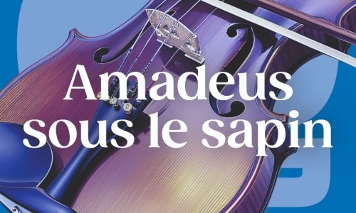 4. Sinfoniekonzert: "Amadeus sous le sapin"