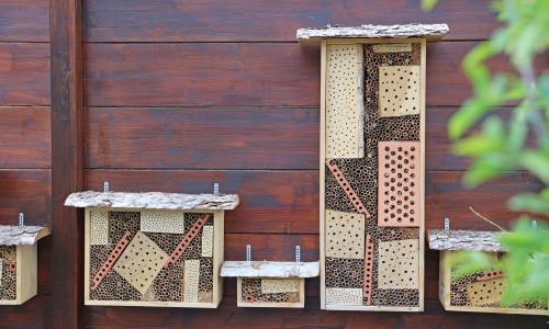 Nisthilfen f&uuml;r Wildbienen bauen