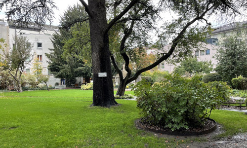 Jardin de la Maison de la Pr&eacute;fecture