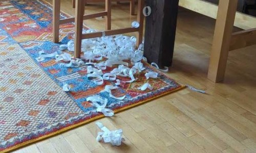 Mitgliederversammlung Breitsch-Tr&auml;ff