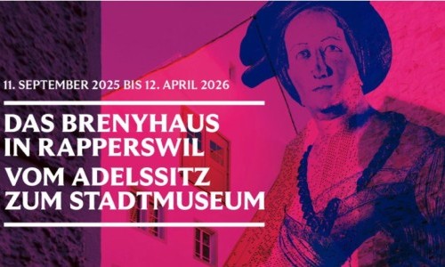 Adel im Brenyhaus. Karrieren und Schicksale