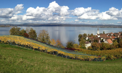 Weingut Familie Meier