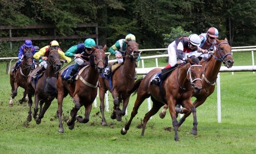 Pferderennbahn Schachen