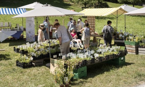 Heilkr&auml;utertage mit F&uuml;hrungen