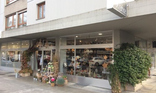 Biblioth&egrave;que Municipale de Carouge