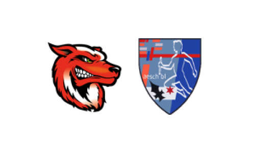 SG Frick / Eiken - Handball Birseck