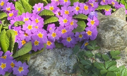 Kreatives Schreiben: Wege, Worte, Wunder