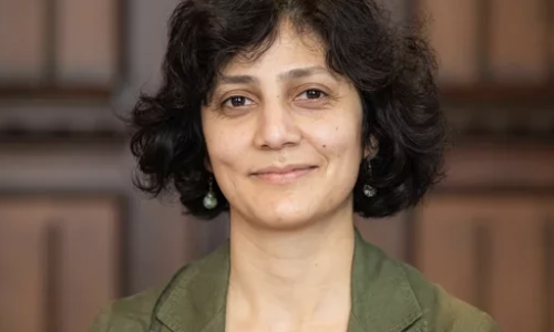 Voltaire-Konzert N&deg; 7: Farzia Fallah im Gespr&auml;ch