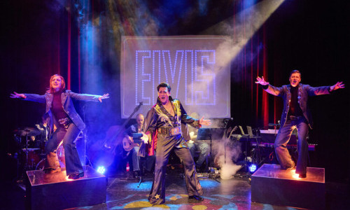 ELVIS LEBT!