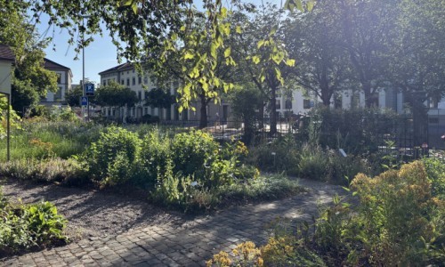 Heilsalben selbst herstellen