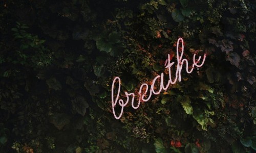 «Starte achtsam in den Tag» Meditations-Workshop mit Kristina Pranjic