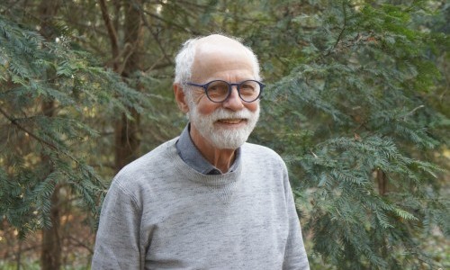 MITTENDRIN: Wale D&auml;pp