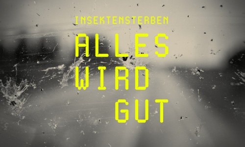 Insektensterben &ndash; Alles wird gut