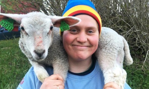 Woolly – Schaf Dir das Glück