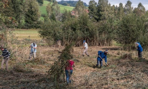 Natur verbindet &ndash; Mooreinsatz Breitfeld