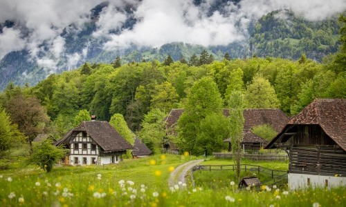 Internationaler Museumstag