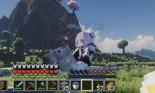 BitBase - Open World Treff