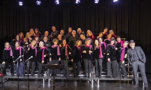 Voices of Joy – Colors of Music