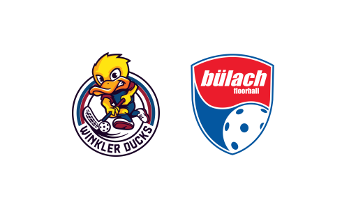 Winkler Ducks - B&uuml;lach Floorball II