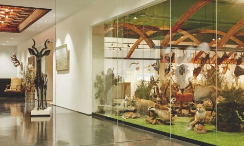 Arche Noah Kunst & Natur