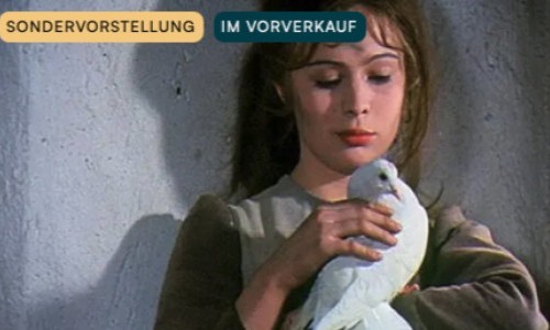 Drei Haselnüsse für Aschenbrödel