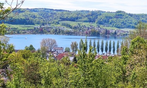 Hesse Museum Gaienhofen