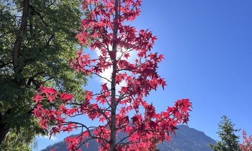 Gewerbliche Berufsschule