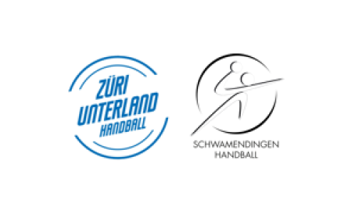 Handball Z&uuml;ri Unterland - Schwamendingen Handball