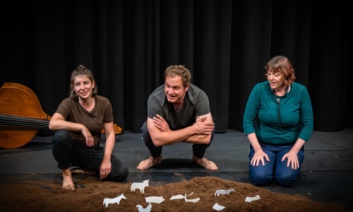 Zita bimmelt - Wieso ich?