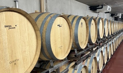 Weinkellerei Spitaltrotte