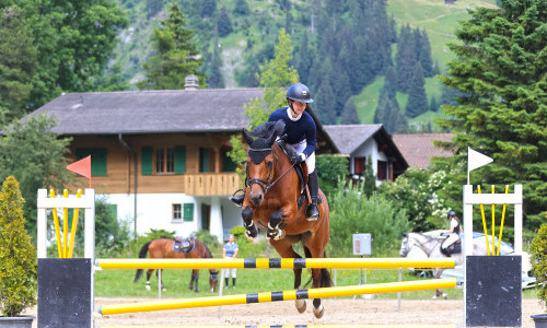 Reitschule Rosegghof