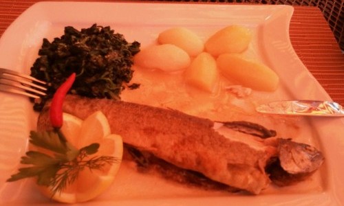 Wettingen T&auml;gerhard