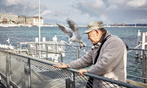 Lesung-Bevor Erinnerung Geschichte wird