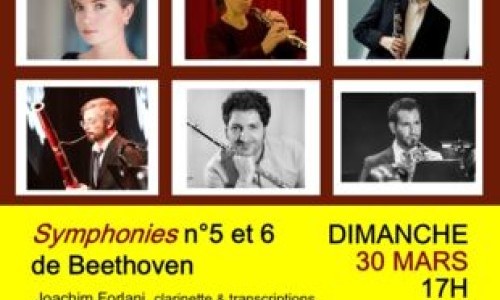 Concert - La grande symphonie de poche : le Destin et la Pastorale