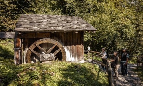 Schweizer M&uuml;hlentag